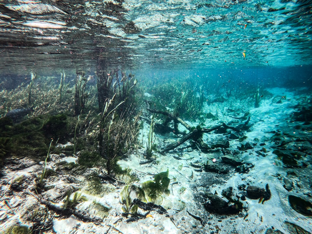 Photo Underwater sanctuaries lakes